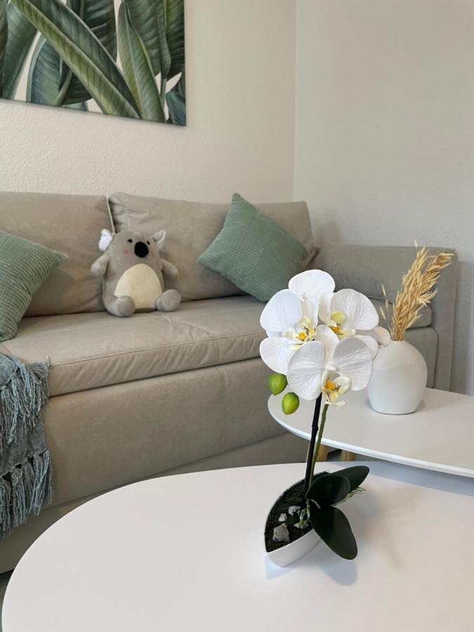Lucky Stays Ls07 - Vollausstattung - Zentrum - Aufzug - Grosse Kueche - 2 Zimmer - Smart-Tv มัคเดอบวร์ก ภายนอก รูปภาพ
